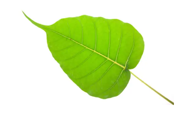 2024-08-23T02:22:13.png 2024-08-23T02:22:13.png